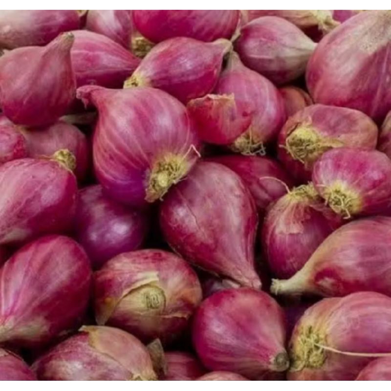 

Bawang merah berebes ukuran 500 gr termurah