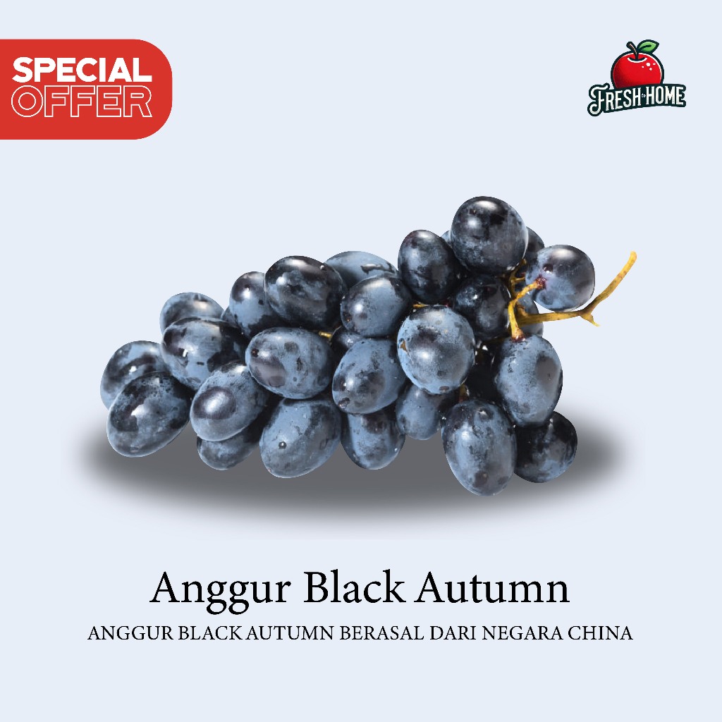 

Anggur Black Autumn Impor Buah Segar