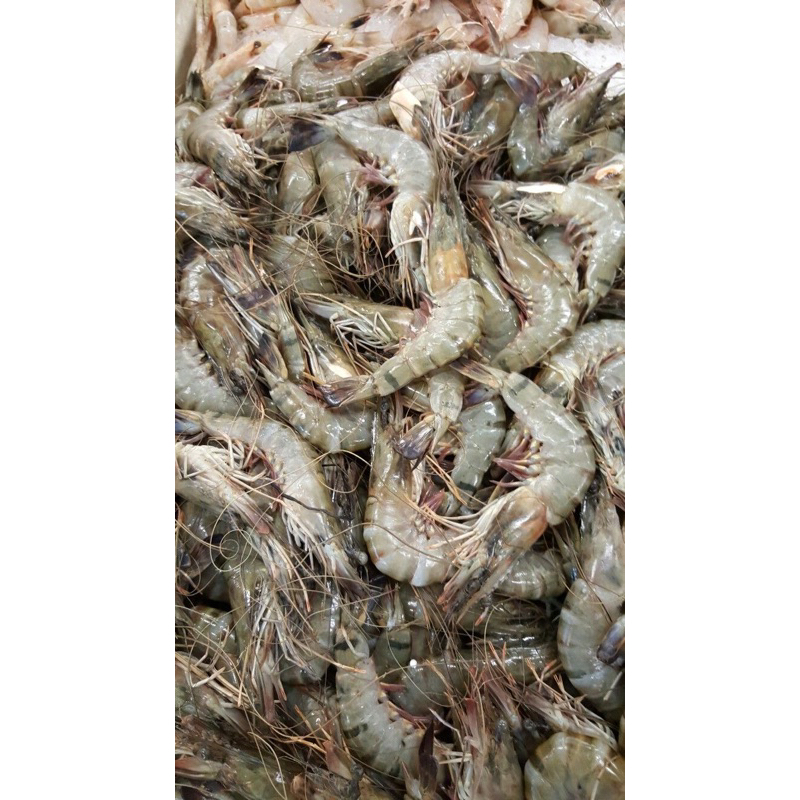 

Udang Besar dan Kecil 250 gram