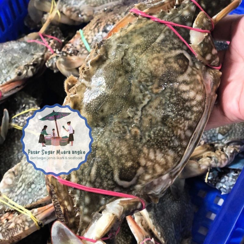 Rajungan segar 1 kg