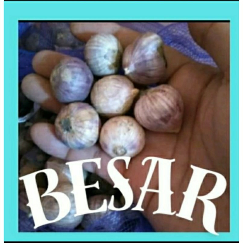 

Bawang Putih Tunggal Lanang1kg