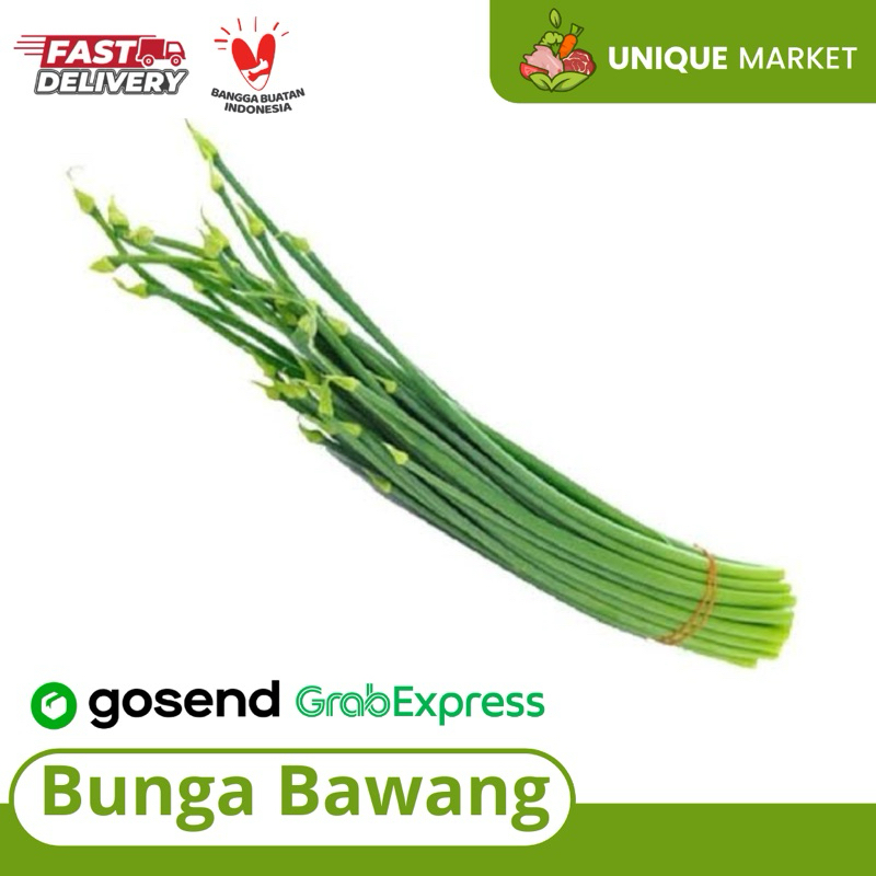

Bunga Bawang 1 Ikat