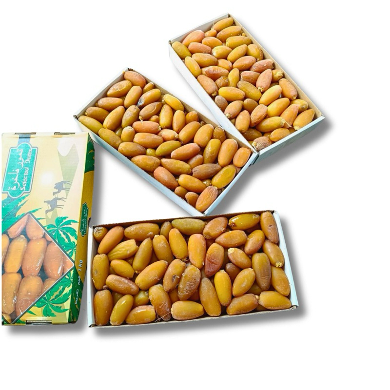 

ruthob libya kurma muda menuju matang 1 kg
