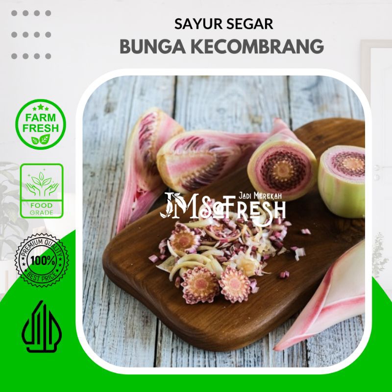 

[JM_SoFresh] Bunga Kecombrang Segar 1 Pcs