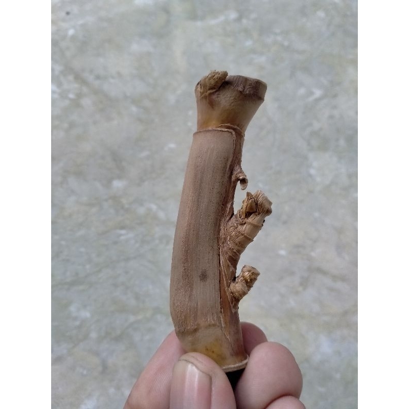 BAMBU UNIK PETUK JALU TUMPANGROGO (8 CM ) JOS