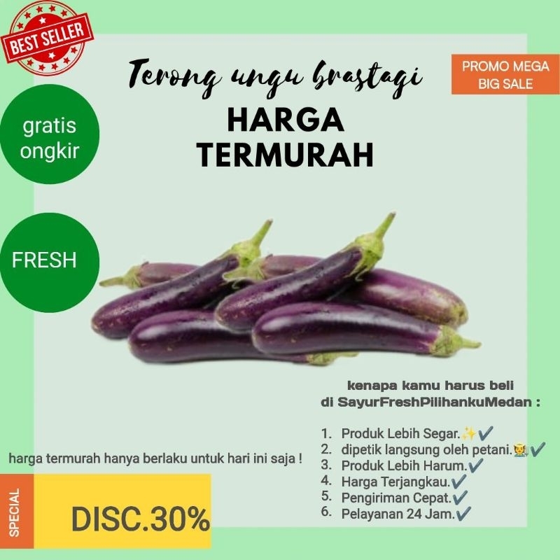 

promo terong ungu asli Brastagi termurah dipanen langsung oleh petani Brastagi siap kirim ke seluruh Medan| gratis ongkir