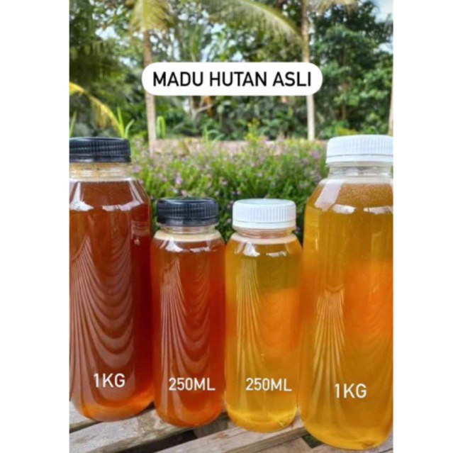 

Madu hutan Asli