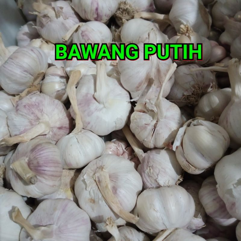 

BAWAN GPUTIH 1 KG BERSIH
