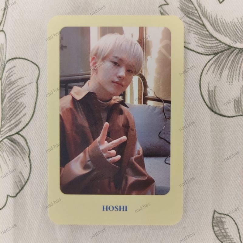 Pc Photocard SEVENTEEN World Tour Ode to You Off the Record OTY OTR Hoshi
