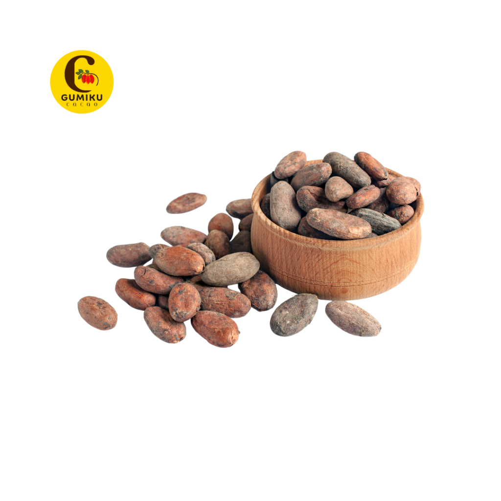 Gumiku Fermented Cacao Bean (Biji Coklat Fermentasi)