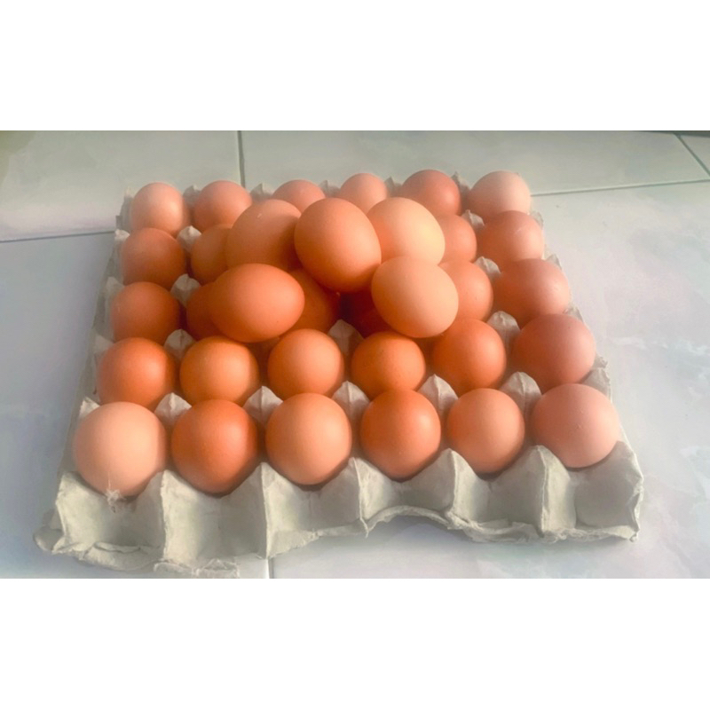 

Telur Ayam Dalam Negeri