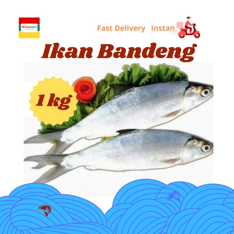 

IKAN BANDENG FRESH MURAH