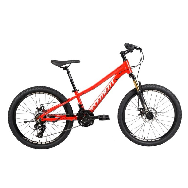 SEPEDA 24 MTB ELEMENT SEATLE