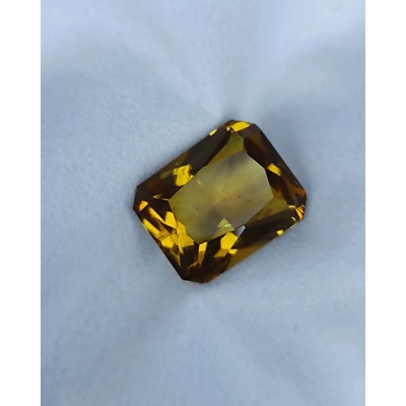 KECUBUNG KUNING GOLD KECUBUNG KUNING BIMOLI KECUBUNG KALIMANTAN