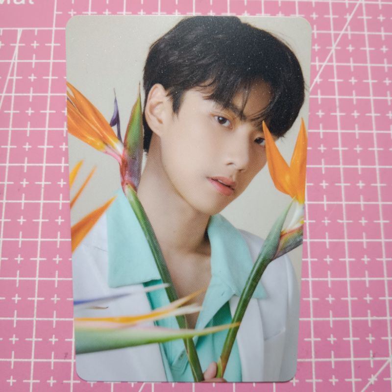 [OFFICIAL] PC / PHOTOCARD BLOOMING OHM PAWAT GMMTV