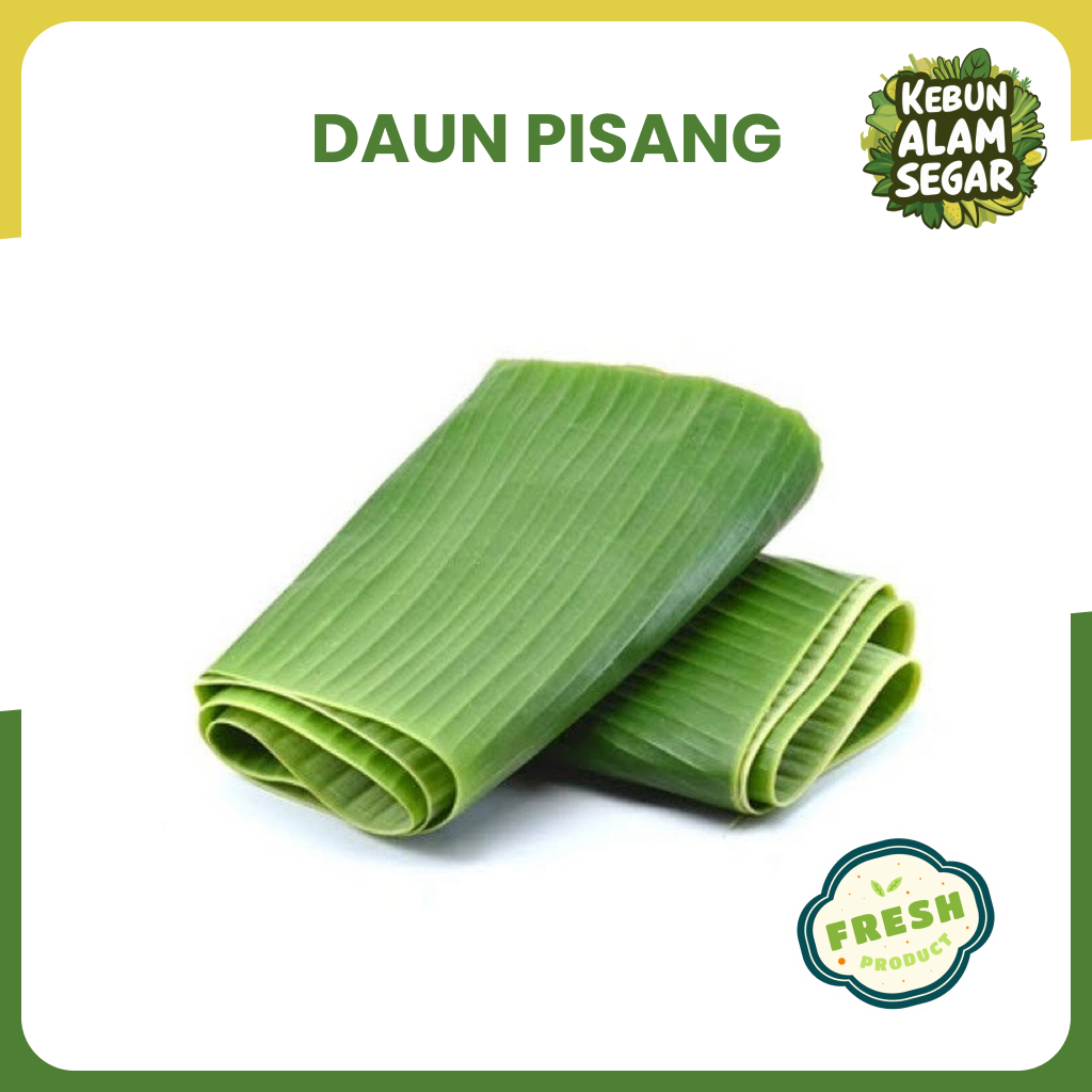 

DAUN PISANG SEGAR Langsung petik dari kebun