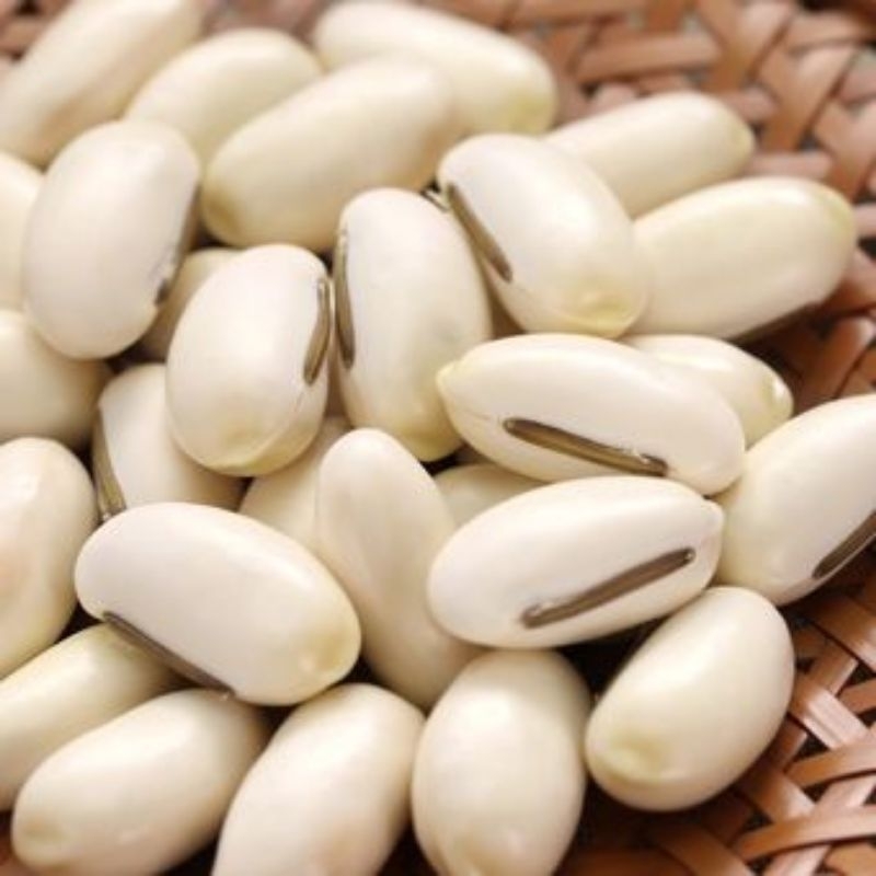 

Kacang Koro Pedang Putih Kacang Benguk Mentah 600gram