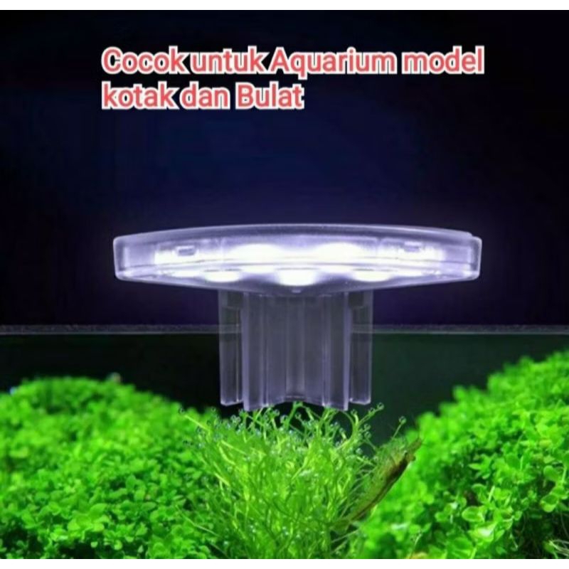Lampu LED Anti Air untuk Akuarium Model Bulat Dan Kotak