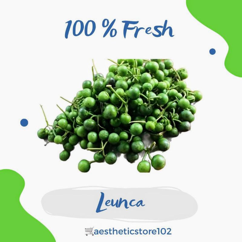 

Lalapan Lenca Leunca 1 kg fresh