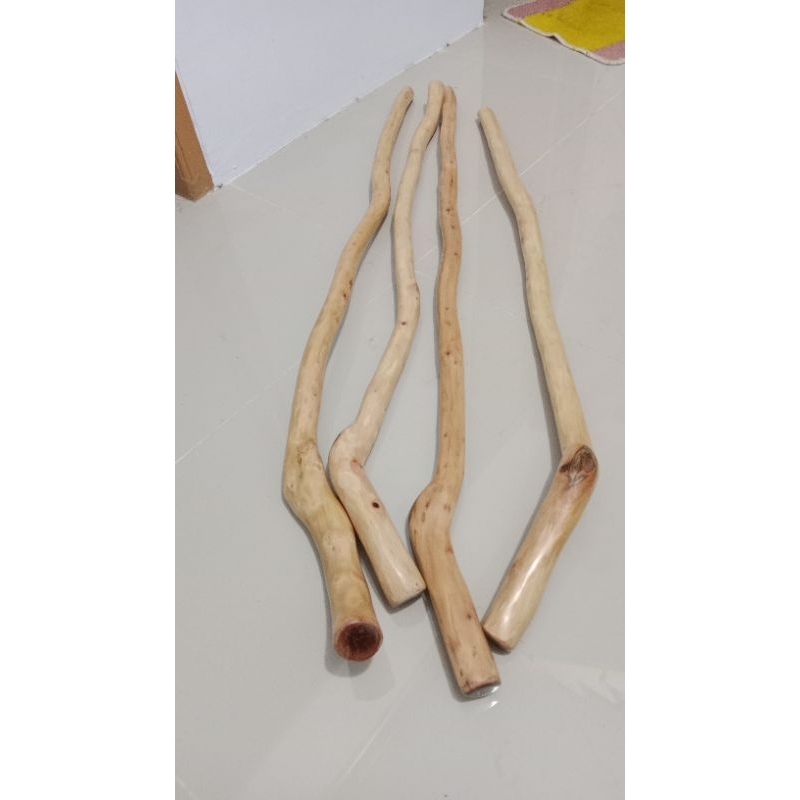 tongkat jalan kayu galih stigi laut