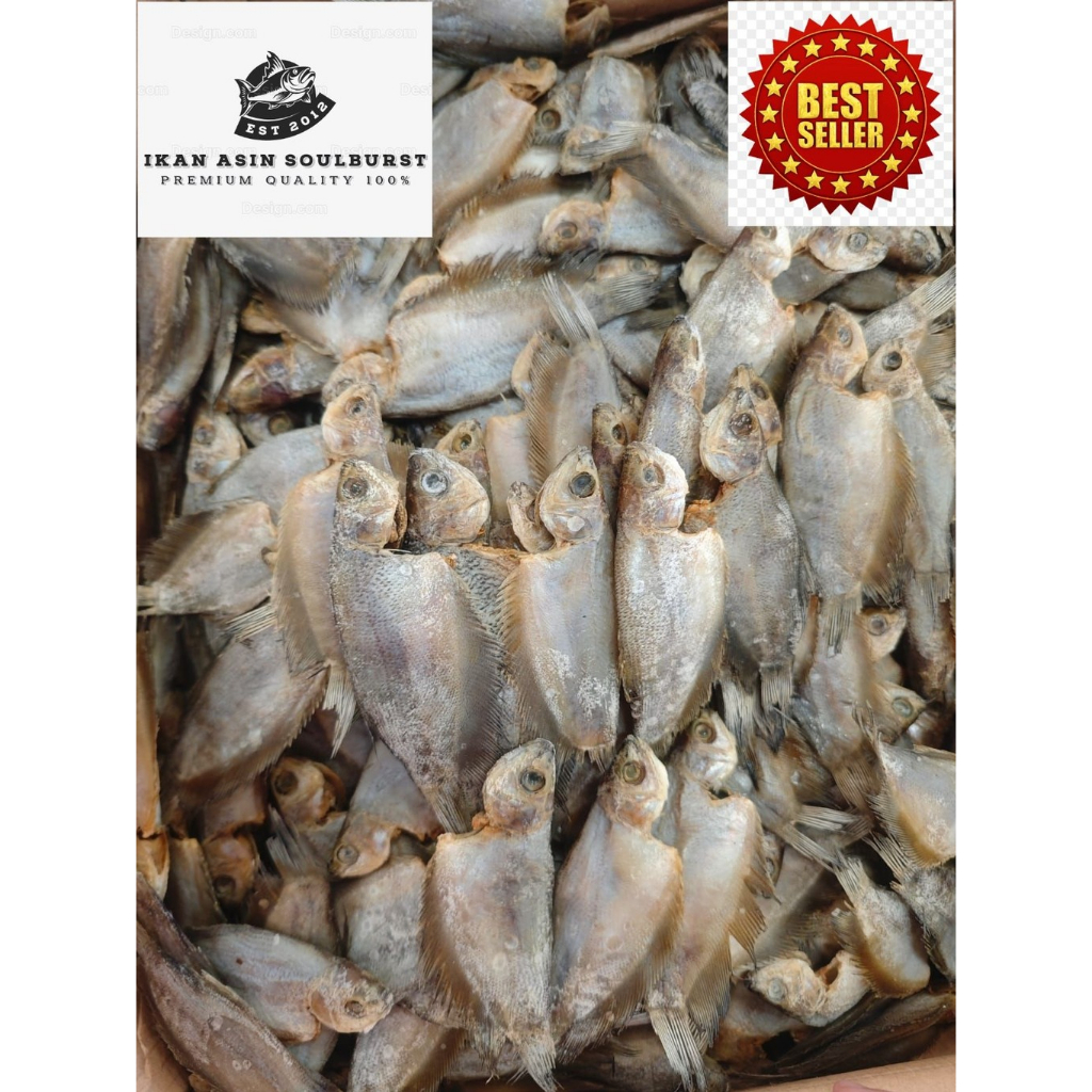 

Ikan Asin Sepat Siam Kepala 500 Gram
