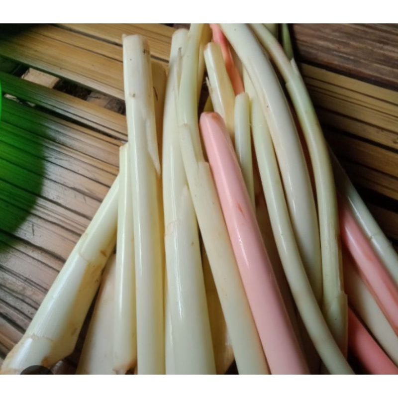 

jual batang kecombrang fresh sudah kupas per 500 gram