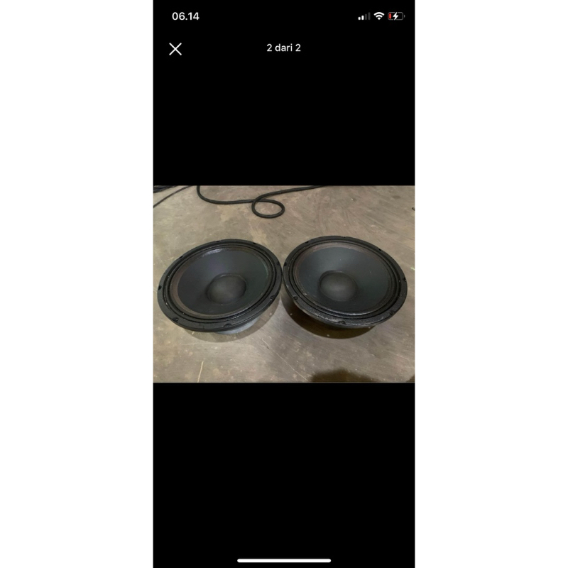 speaker 12 inch