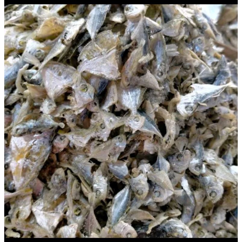 

ikan sampah campur medan tanjung balai 1kg