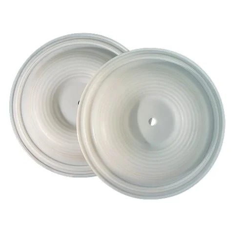 Diaphragm Wilden Pump Pn 08-1010-55