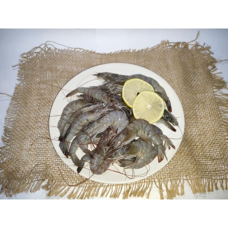 

UDANGSEGARBESAR/FRESHSHRIMP