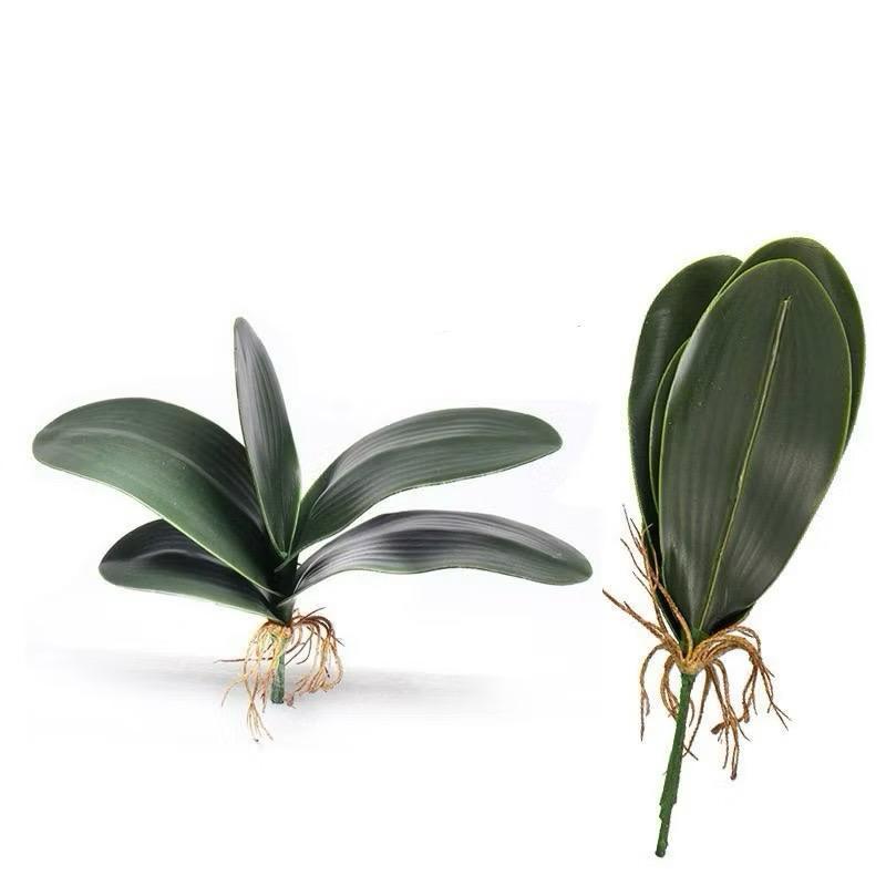 Daun Anggrek Latex 5Kuntum 21cm Premium Ukuran M