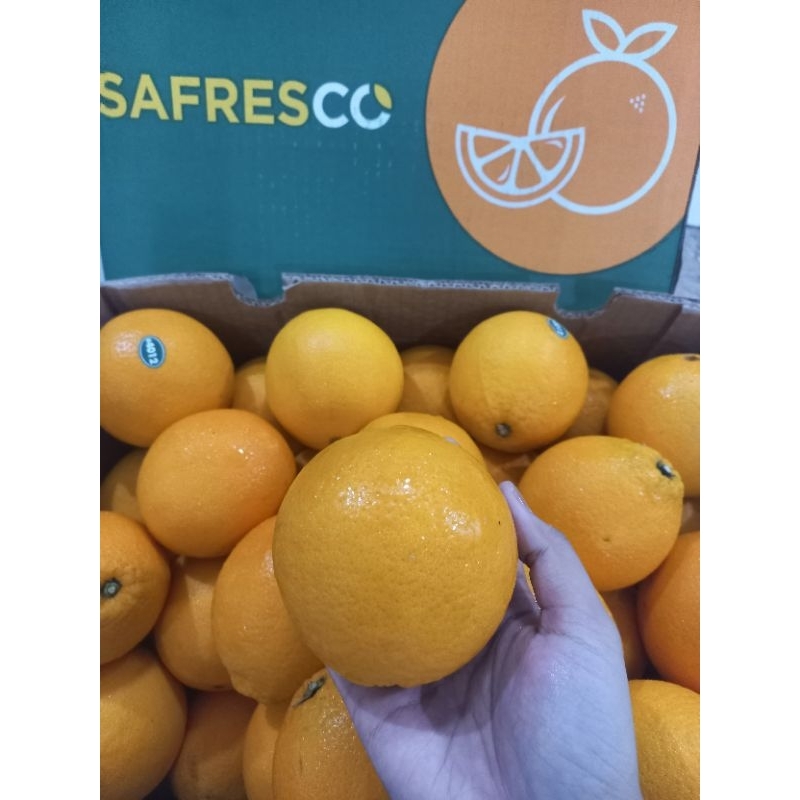 

SUNKIST NAVEL JERUK PERAS JERUK KUPAS JERUK NAVEL AFRIKA