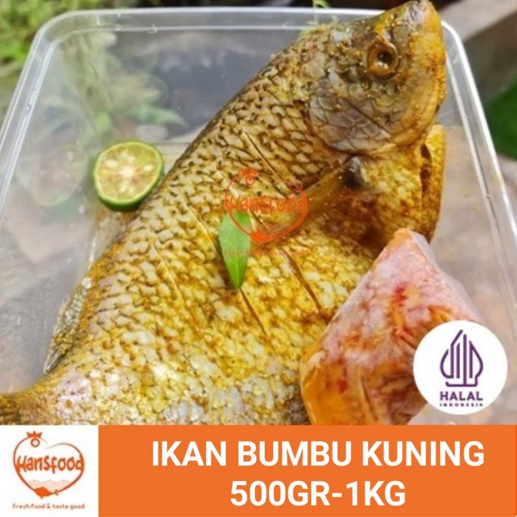 

Ikan Marinasi Bumbu Kuning (free sambal)