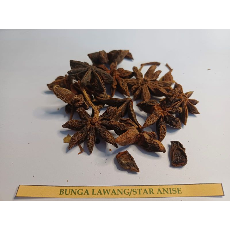 

Bunga Lawang / Star Anise Rempah Rempah