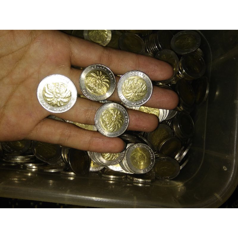 koin 1000 kelapa asli
