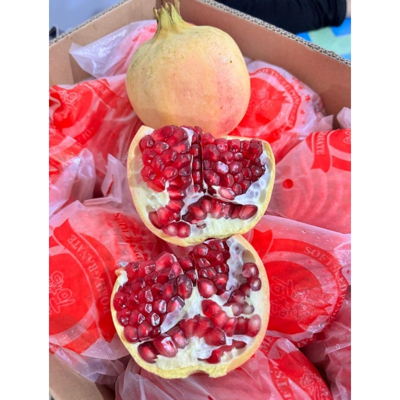

Delima Merah / Delima Merah Import