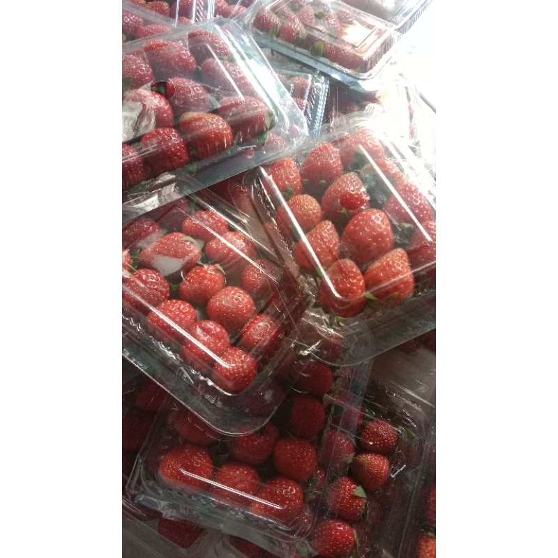 

Strawberry fresh 1paket 5mika