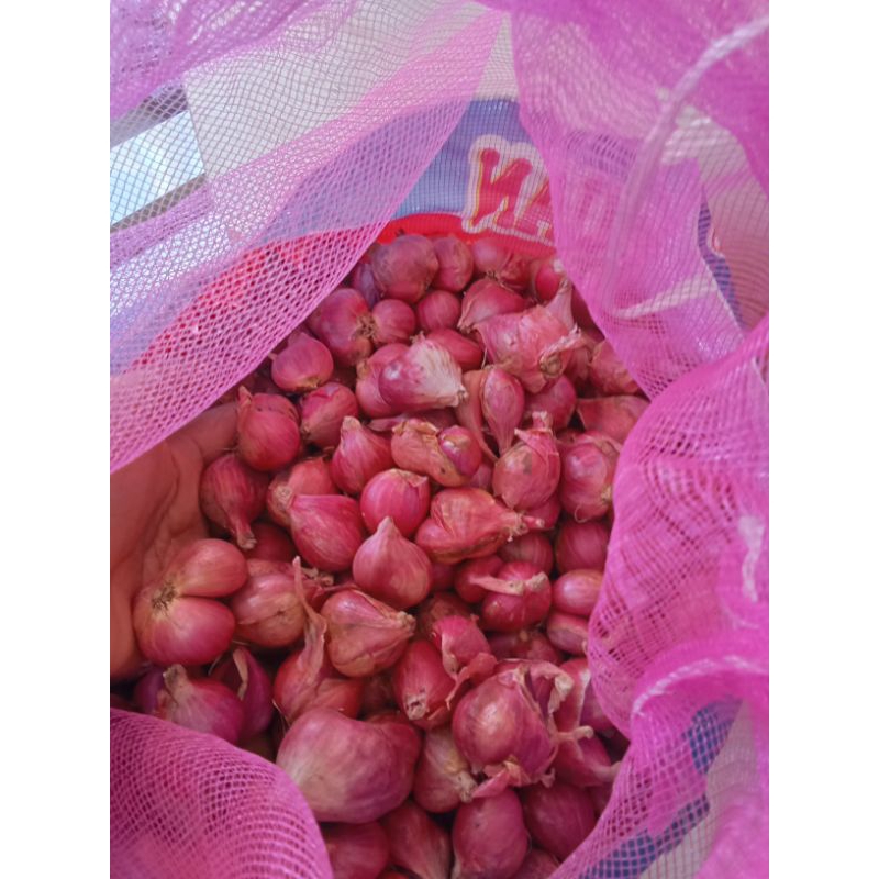 

bawang merah brebes