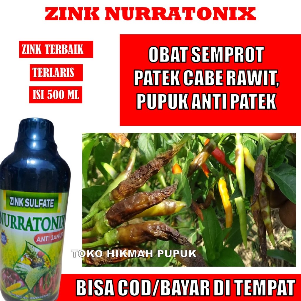 (OBAT SEMPROT PATEK CABE RAWIT) ZINK 500 ML PUPUK PENYAKIT HAMA PATEK CABE RAWIT TERBAGUS, Obat Semp