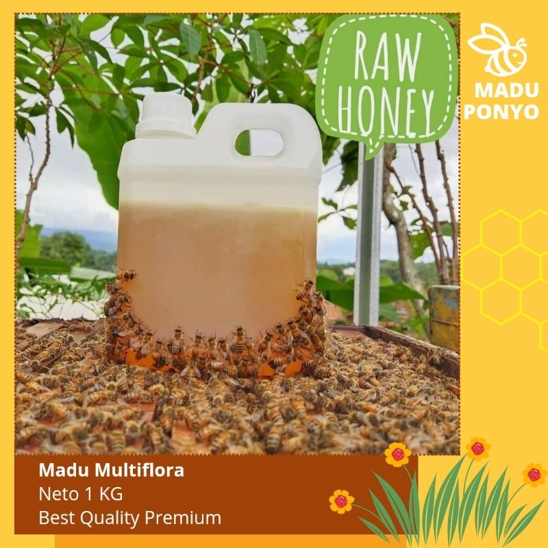 

Madu multiflora murni asli 100% isi 1kg raw honey