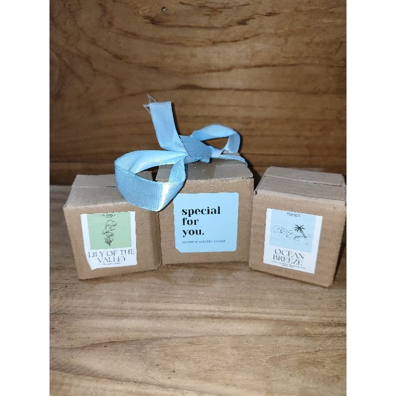 Lilin Aromaterapi Aesthetic Pengharum Ruangan