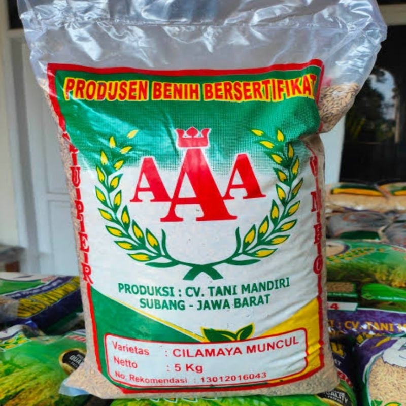 NEW BENIH PADI CILAMAYA MUNCUL 5KG