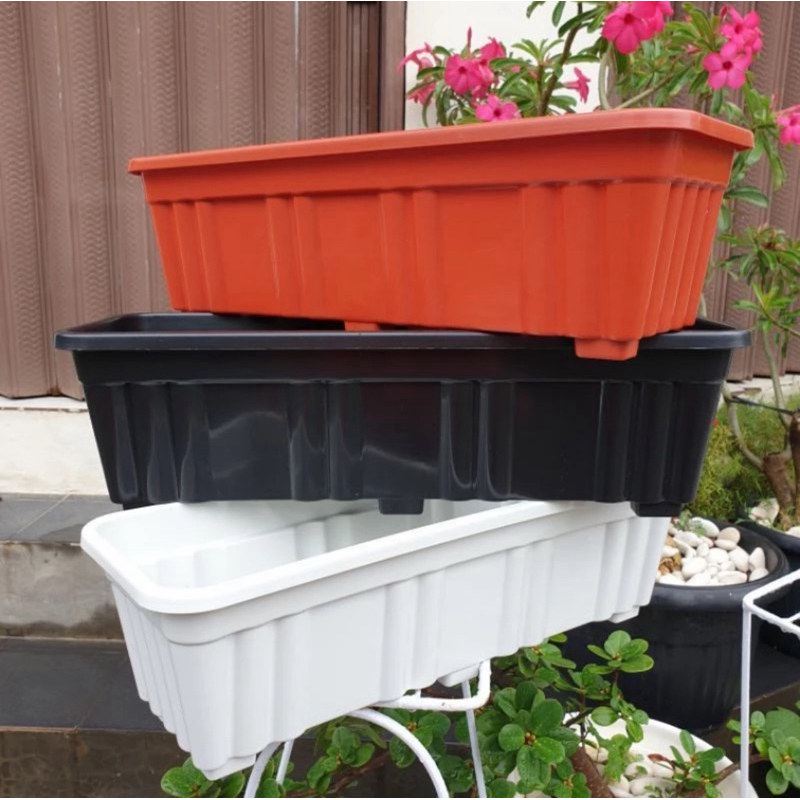 POT Tanaman Hias Menjuntai Lee Kwan yew//POT Tanaman Hias Lee Kwan yew//Ukuran 50 Cm