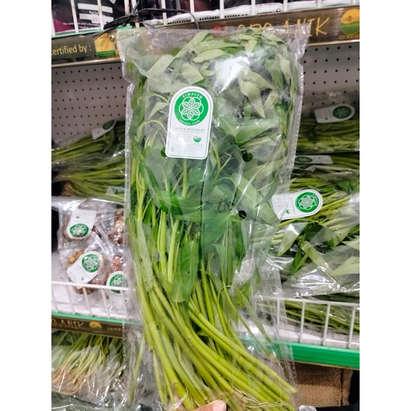

KANGKUNG SEGAR ORGANIK