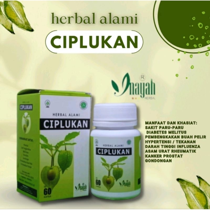 Kapsul Ciplukan