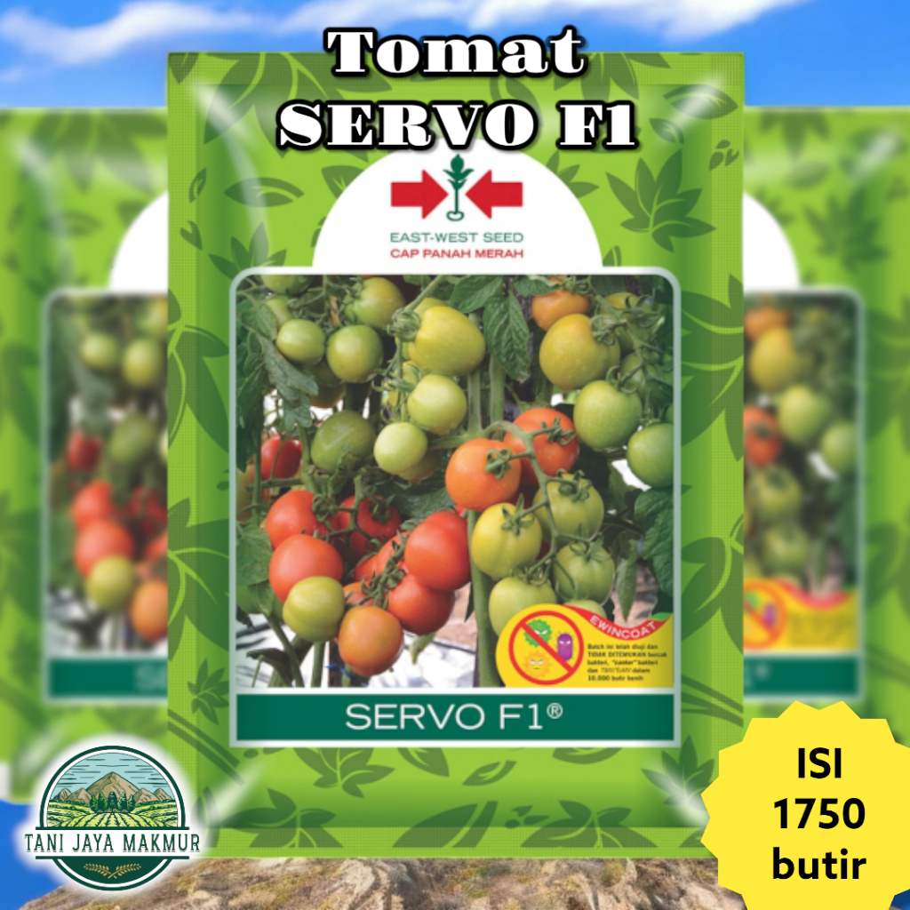 Benih Bibit Buah Tomat SERVO F1 1750 butir- Cap Panah Merah