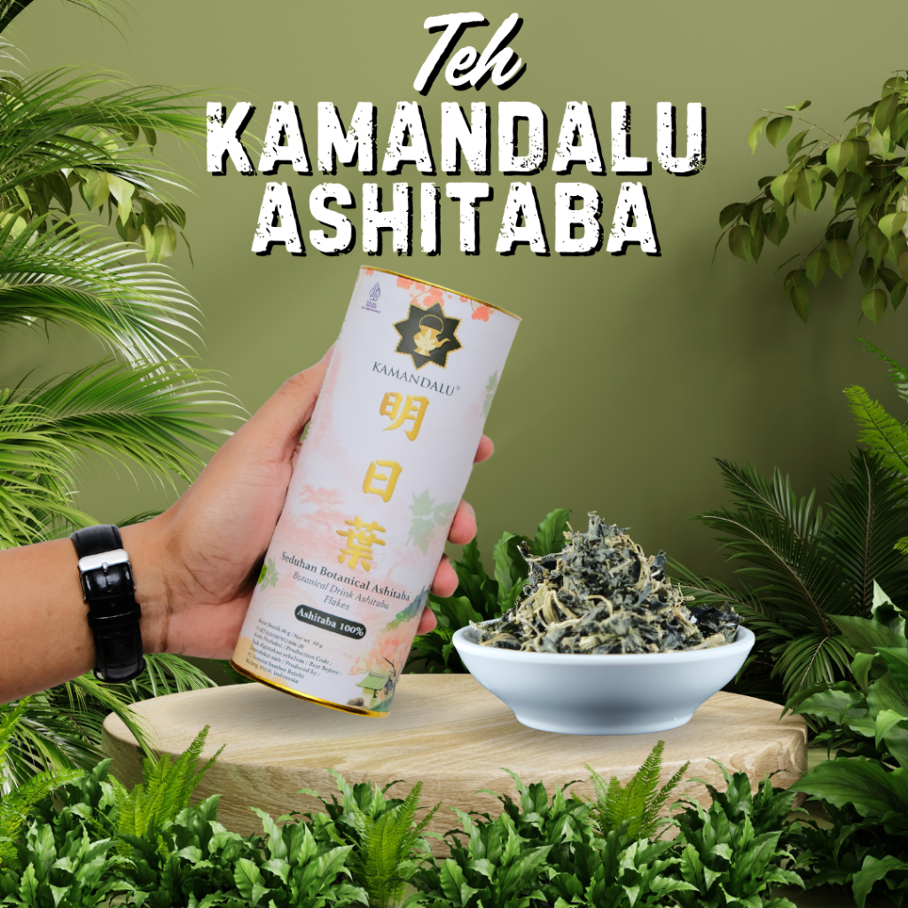 

Teh Ashitaba Wangi - Teh Herbal Alami untuk Jaga Kesehatan Sehari-hari