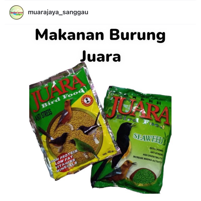 Makanan burung juara kuning juara seaweed / pakan burung juara