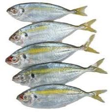 

IKAN SELAR 500G