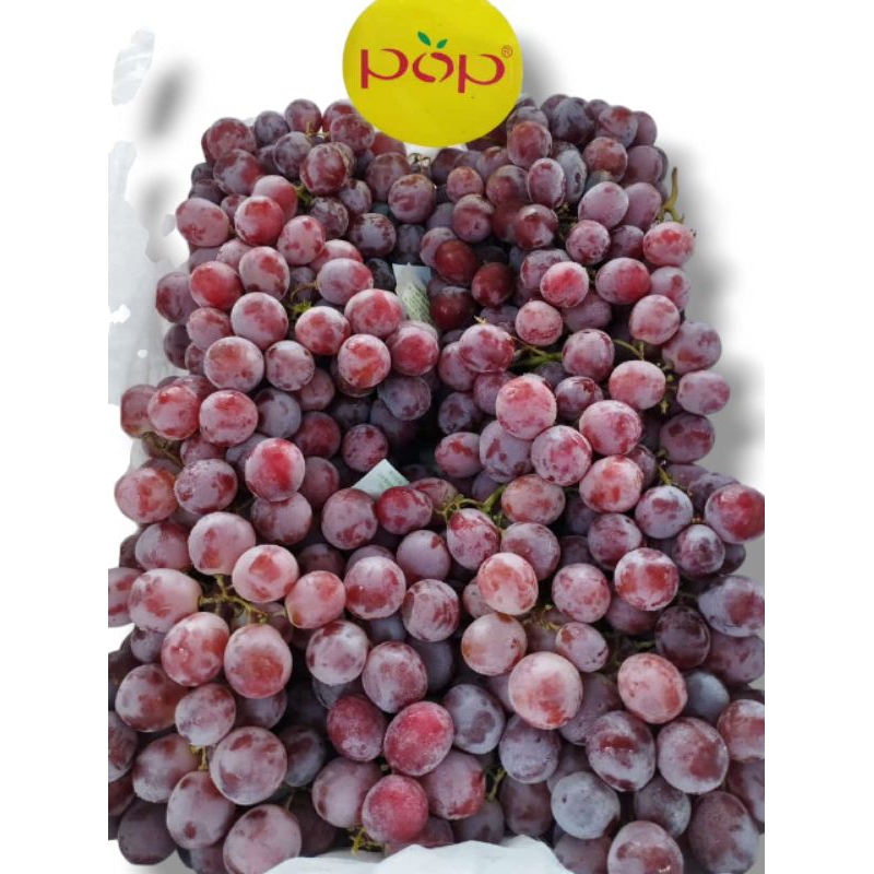 

buah anggur
